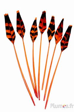 Tétras des bois flèche - 19-21 cm - orange-café